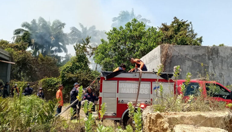 Controlado incendio de vegetación en el parque José Tadeo Arreaza de ...